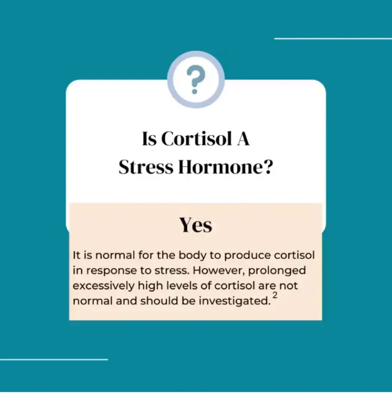 Could You Have A High Level Of Cortisol? What Every Patient Needs To Know