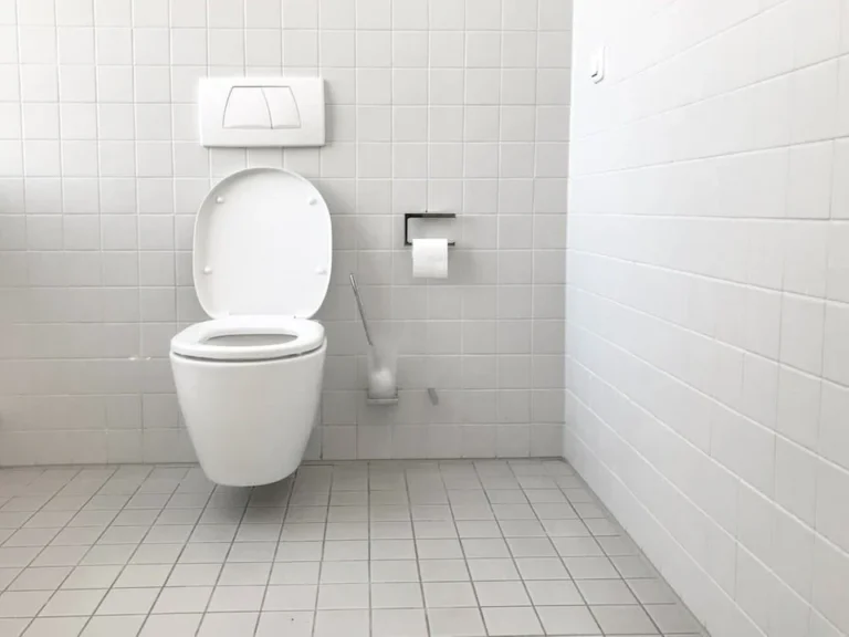 Can You Catch HPV From A Toilet Seat?